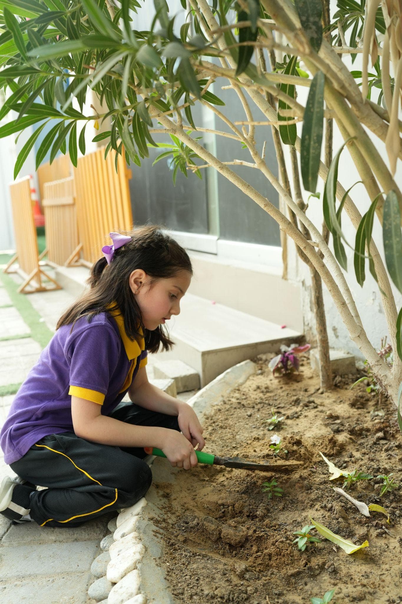 Outdoor play and movement